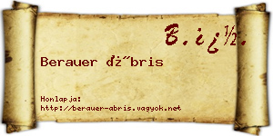 Berauer Ábris névjegykártya